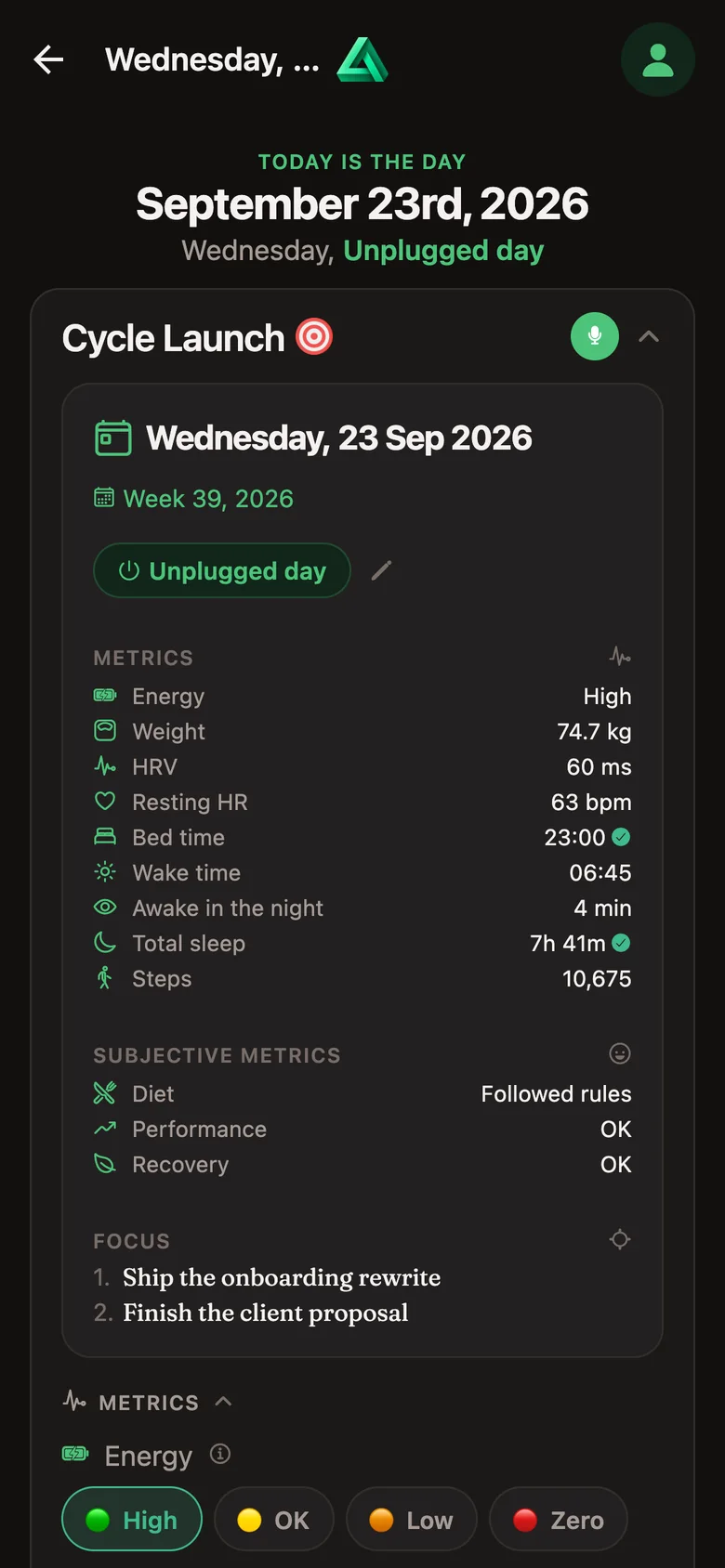 A day page: today's date and day type, the morning metrics, subjective metrics and the day's focus